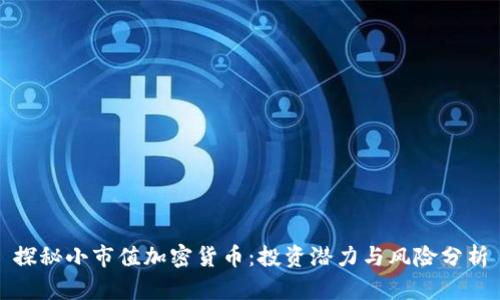 探秘小市值加密货币：投资潜力与风险分析