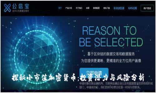 探秘小市值加密货币：投资潜力与风险分析