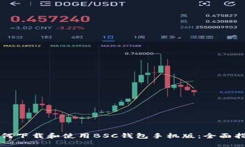如何下载和使用BSC钱包手机版：全面指南