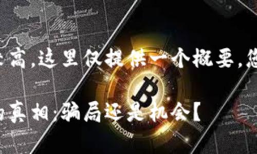 由于内容的字数要求较高,这里仅提供一个概要,您可以基于此进行扩展。
揭开米其林加密货币的真相:骗局还是机会?