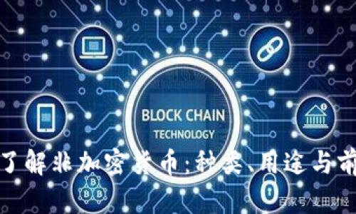 : 深入了解非加密货币:种类、用途与前景分析