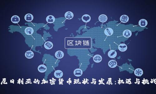 尼日利亚的加密货币现状与发展:机遇与挑战