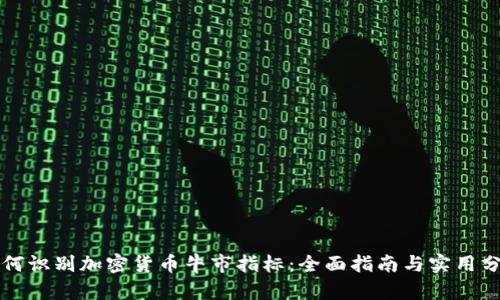 如何识别加密货币牛市指标：全面指南与实用分析