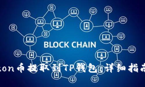 如何将Newton币提取到TP钱包:详细指南与步骤解析