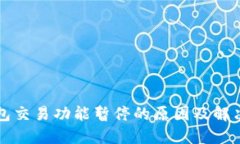 TP钱包交易功能暂停的原因及解决办法