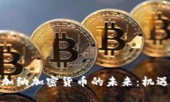 : 探索加纳加密货币的未来：机遇与挑