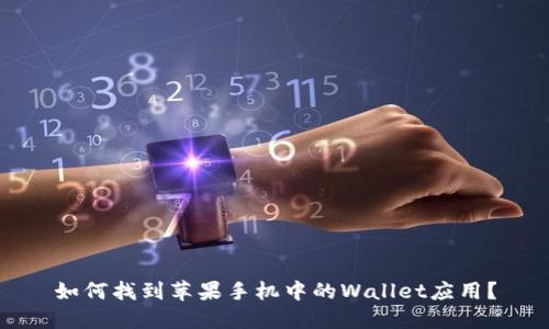 如何找到苹果手机中的Wallet应用?