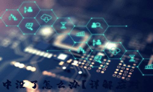
TP钱包提币在打包中没了怎么办？详解应对策略与常见问题解析