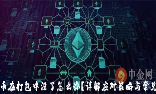 
TP钱包提币在打包中没了怎么办？详解应对策略与常见问题解析