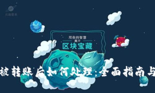 : TP钱包被转账后如何处理:全面指南与解决方案