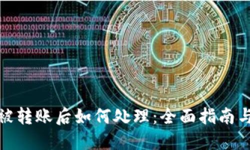 : TP钱包被转账后如何处理:全面指南与解决方案