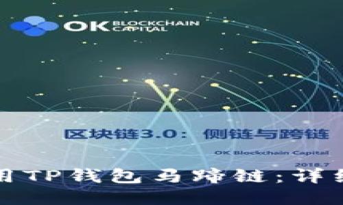 如何正确使用TP钱包马蹄链:详细指南与技巧