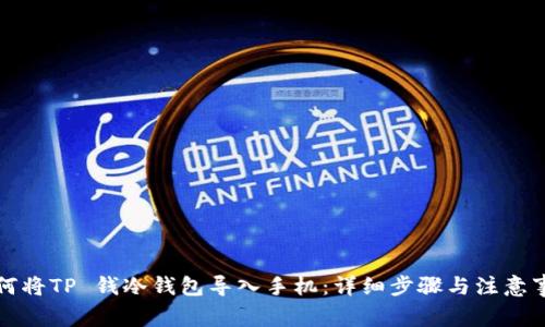 如何将TP 钱冷钱包导入手机:详细步骤与注意事项