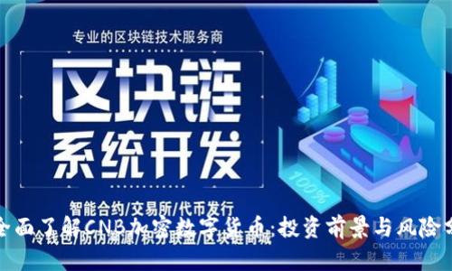 : 全面了解CNB加密数字货币：投资前景与风险分析