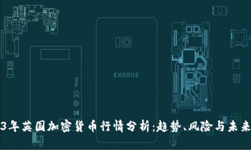 2023年英国加密货币行情分析:趋势、风险与未来展望