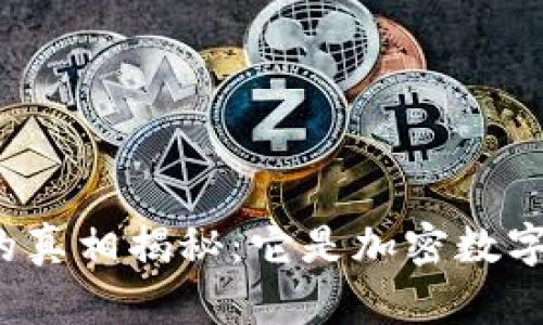 没傻币的真相揭秘:它是加密数字货币吗?