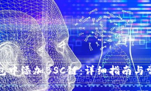 如何在TP钱包中添加BSC链：详细指南与常见问题解答