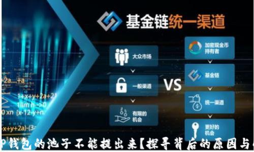 为什么TP钱包的池子不能提出来?探寻背后的原因与解决方法