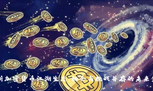 深入解析加密货币江湖生态：机会与挑战并存的未来金融世界