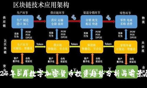 2024年5月数字加密货币投资趋势分析与前景展望