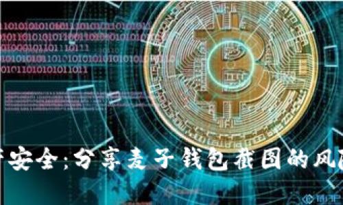 保护数字资产安全：分享麦子钱包截图的风险与应对措施