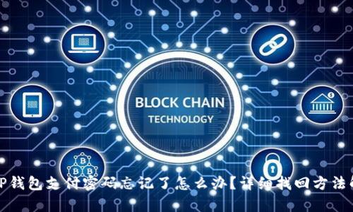 : TP钱包支付密码忘记了怎么办?详细找回方法解析