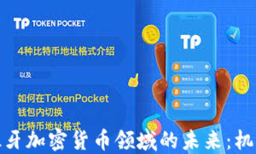 探索西班牙加密货币领域的未来:机遇与挑战