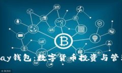 全面解析OKPay钱包：数字货币投资与管