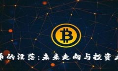 加密货币的没落：未来走向与投资者的