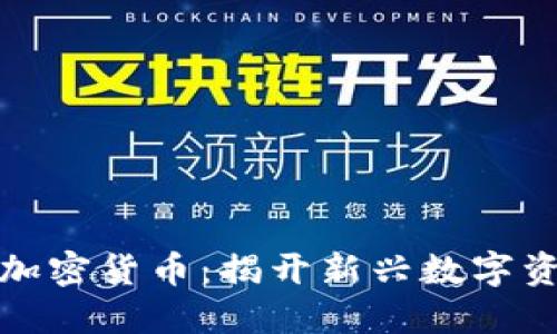 神州信息加密货币:揭开新兴数字资产的面纱