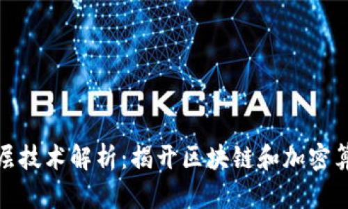 加密货币的底层技术解析:揭开区块链和加密算法的神秘面纱