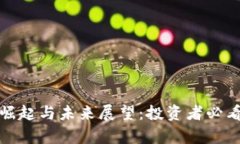 加密货币的崛起与未来展望：投资者必
