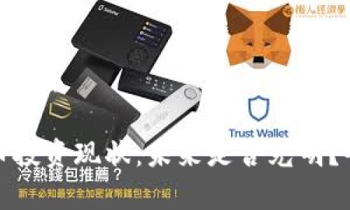 加密货币投资现状:未来是否光明?全面解析