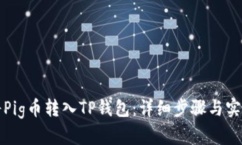 如何将Pig币转入TP钱包：详细步骤与实用技巧