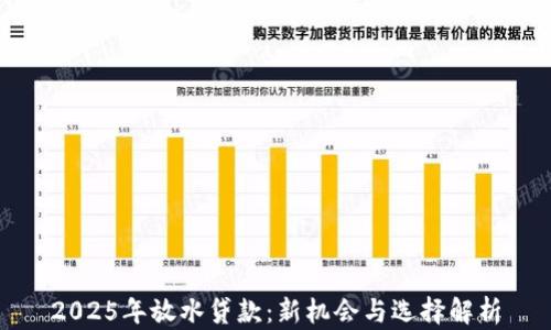 2025年放水贷款:新机会与选择解析