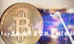 如何通过OKPay虚拟币平台实现盈利？揭