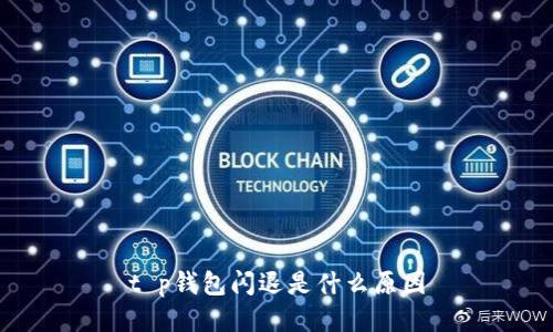 t p钱包闪退是什么原因