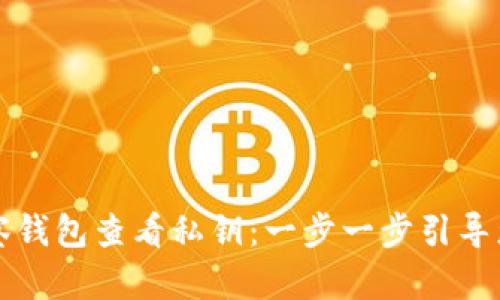 如何通过TP观察钱包查看私钥：一步一步引导您理解安全管理