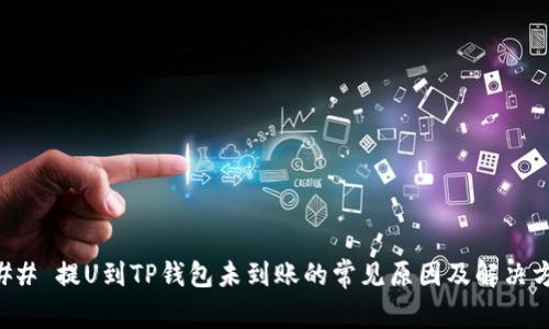 ### 提U到TP钱包未到账的常见原因及解决方案