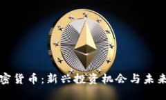 回形针加密货币：新兴投资机会与未来发展趋势