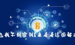 t p钱包找不到密钥？来看看这些解决方