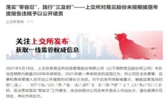 厄瓜多尔是否禁止加密货币？深入解读