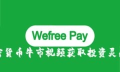 如何通过加密货币牛市视频获取投资灵