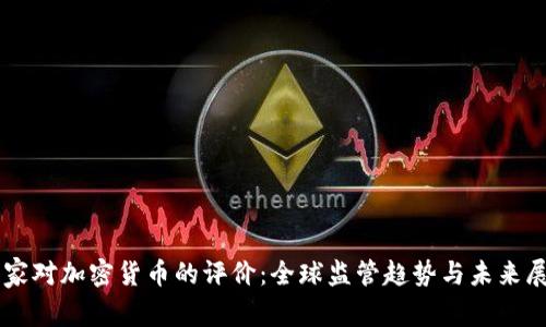 国家对加密货币的评价：全球监管趋势与未来展望