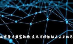 加密货币盛宴散场：反思市场波动与未