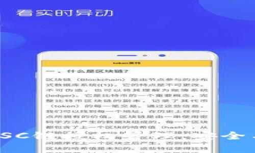 全面解析TP钱包BSC链授权管理：安全与便捷的完美结合