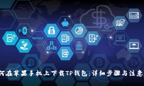  如何在苹果手机上下载TP钱包：详细步骤与注意事项
