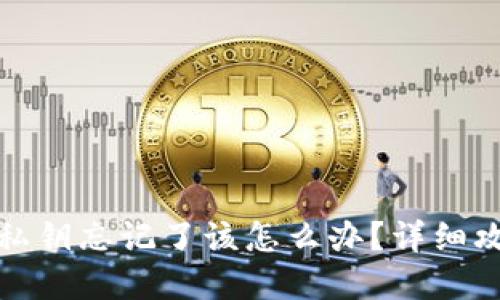 TP钱包密码或私钥忘记了该怎么办？详细攻略与解决方案