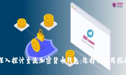 深入探讨主流加密货币钱包：选择与使用指南