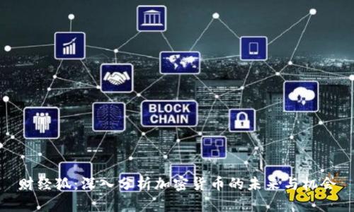 财经狐：深入分析加密货币的未来与机会